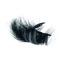 Load image into Gallery viewer, MOON