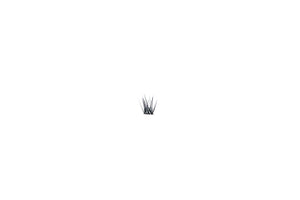 ‘SUPERSTAR’ LASH TRAY